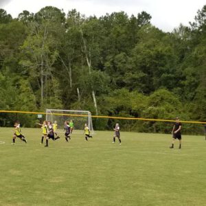 5b98cd_9651d3127c4d46a6b784d24994ab1941~mv2